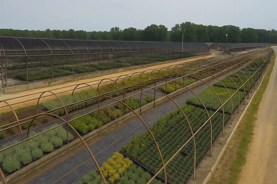 3351 County Road 301, Tiplersville, MS for sale - Other - Image 3 of 4