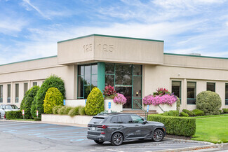 More details for 125 Michael Dr, Syosset, NY - Office for Lease