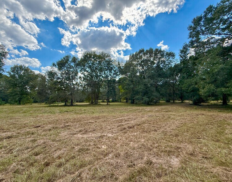 1 Mount Zion Road, New Waverly, TX à vendre - Photo du bâtiment - Image 3 de 17
