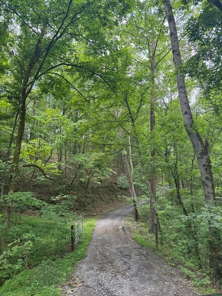 210 Ridge Haven Dr, Surgoinsville, TN à vendre - Photo du bâtiment - Image 2 de 54