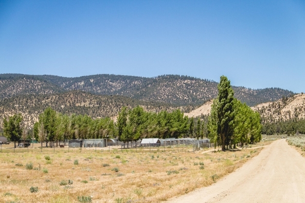 14466 Boy Scout Camp Rd, Frazier Park, CA à vendre - Photo principale - Image 1 de 1