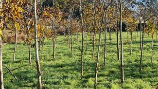 Plus de détails pour Terrain à vendre