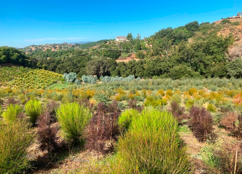 4 Parcels SANDIA CREEK/DELORME dr, Temecula, CA for sale - Building Photo - Image 1 of 17