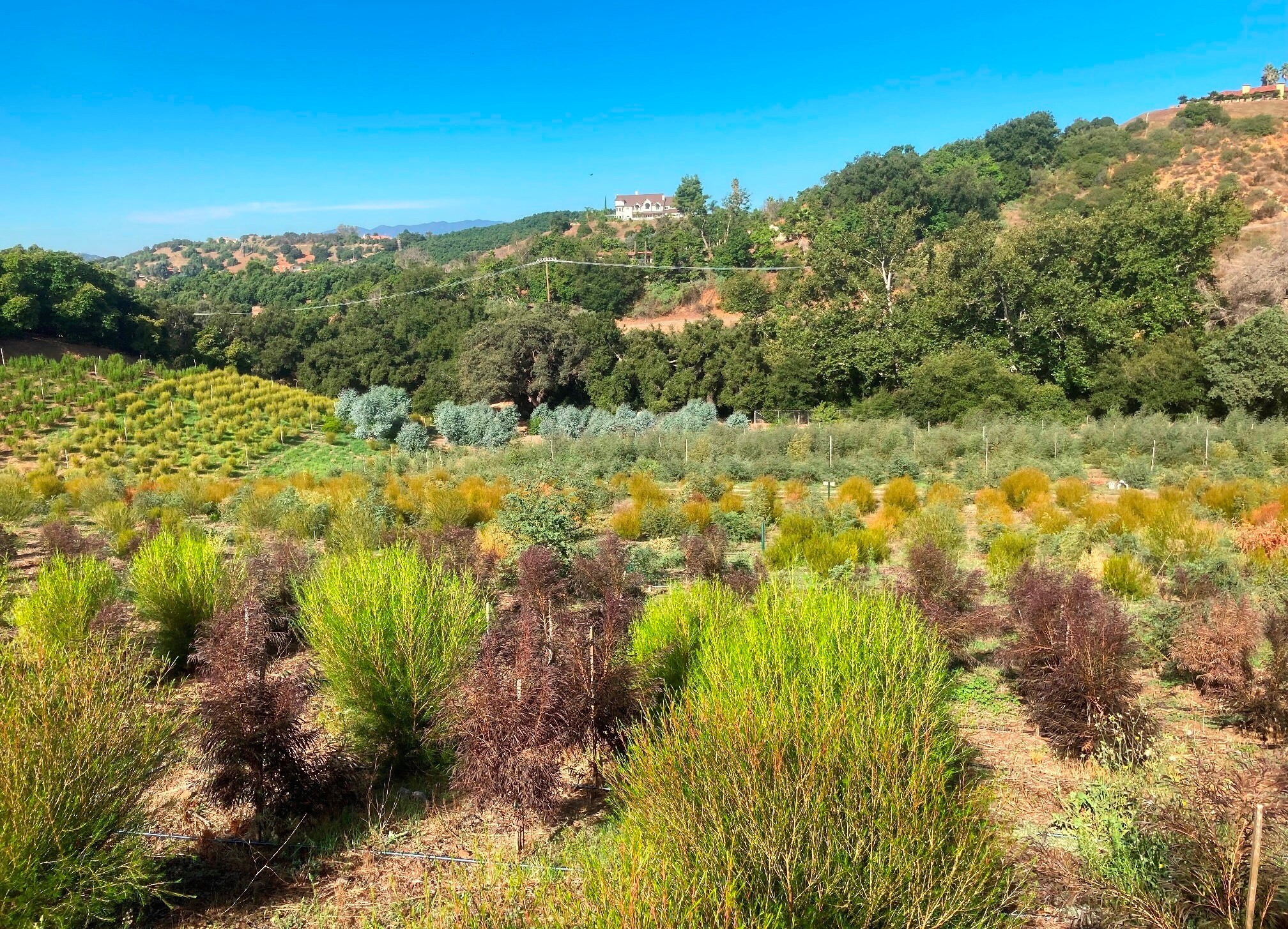 4 Parcels SANDIA CREEK/DELORME dr, Temecula, CA for sale Building Photo- Image 1 of 18