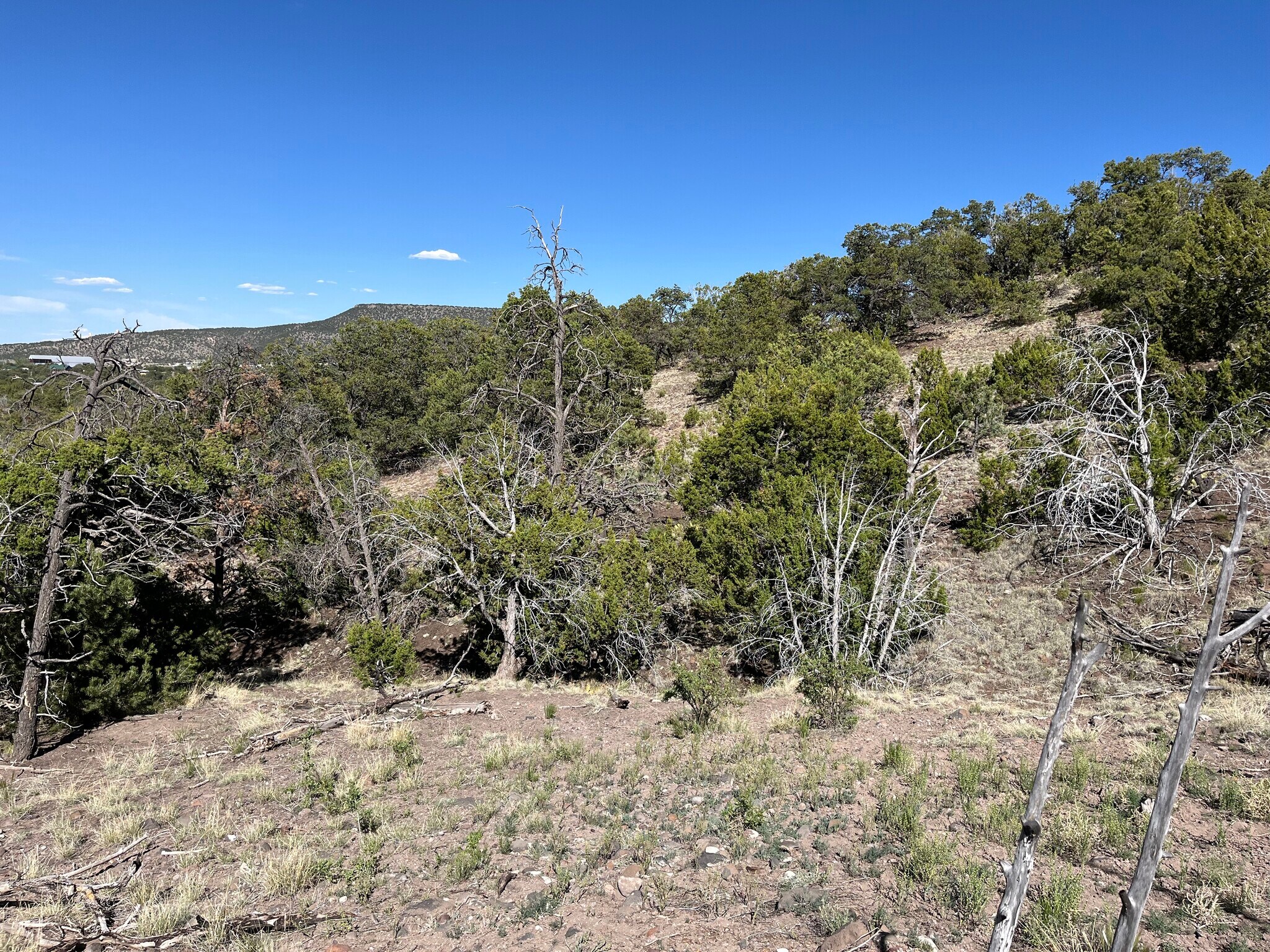 Double Tree Lane, Eagar, AZ à vendre Photo principale- Image 1 de 1