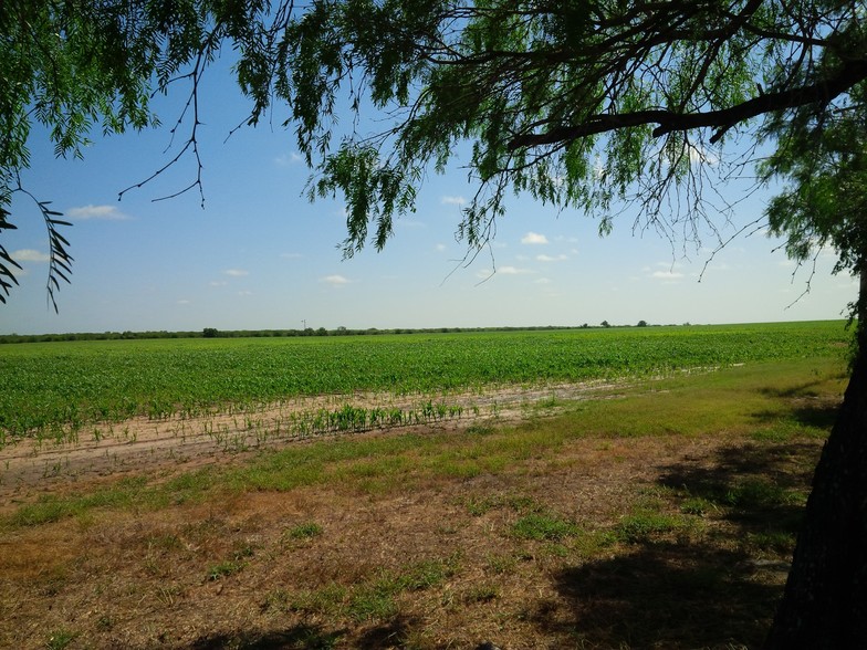 9846 CR 260, Realitos, TX for sale - Building Photo - Image 3 of 15