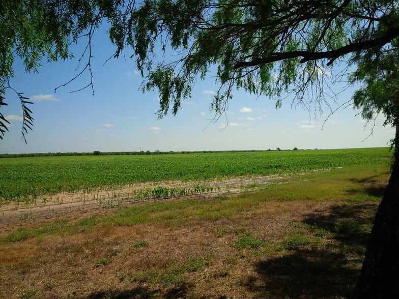 9846 CR 260, Realitos, TX à vendre - Photo du bâtiment - Image 3 de 15