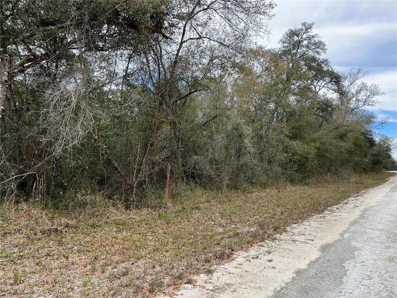 Plymouth Rock Drive, Webster, FL à vendre - Autre - Image 3 de 3