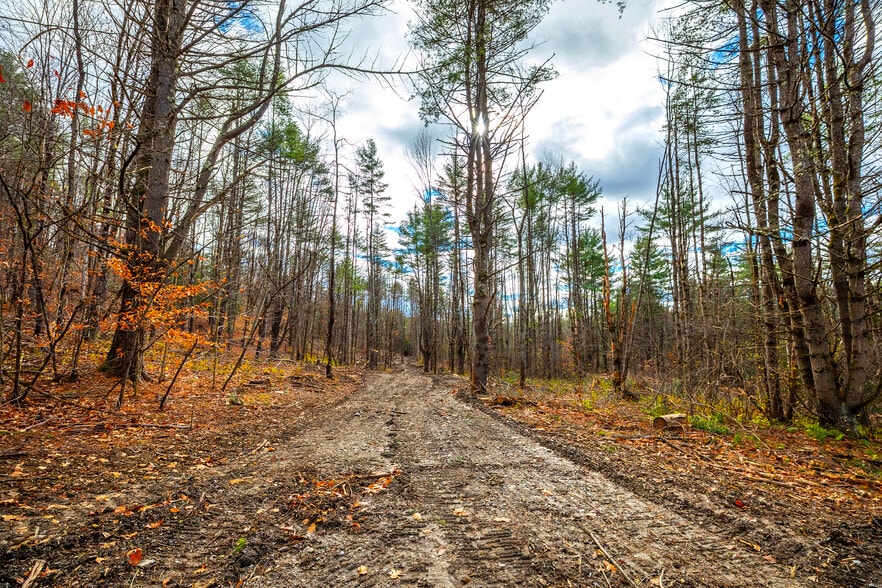 40 E Putney Brook Rd, Putney, VT for sale - Primary Photo - Image 1 of 46