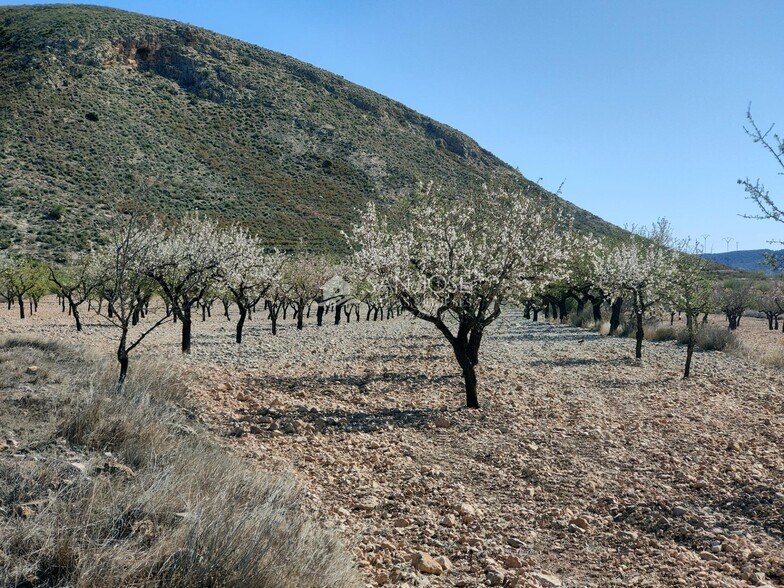 Terrain dans Orihuela, Alicante à vendre - Photo principale - Image 3 de 11