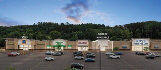 Plus de détails pour 121 Commerce St, Wisconsin Dells, WI - Commerce de détail à louer