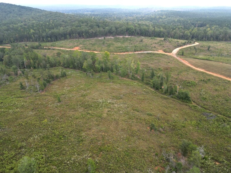 800 Smoke Rise Dr, Woodland, GA for sale - Aerial - Image 2 of 5