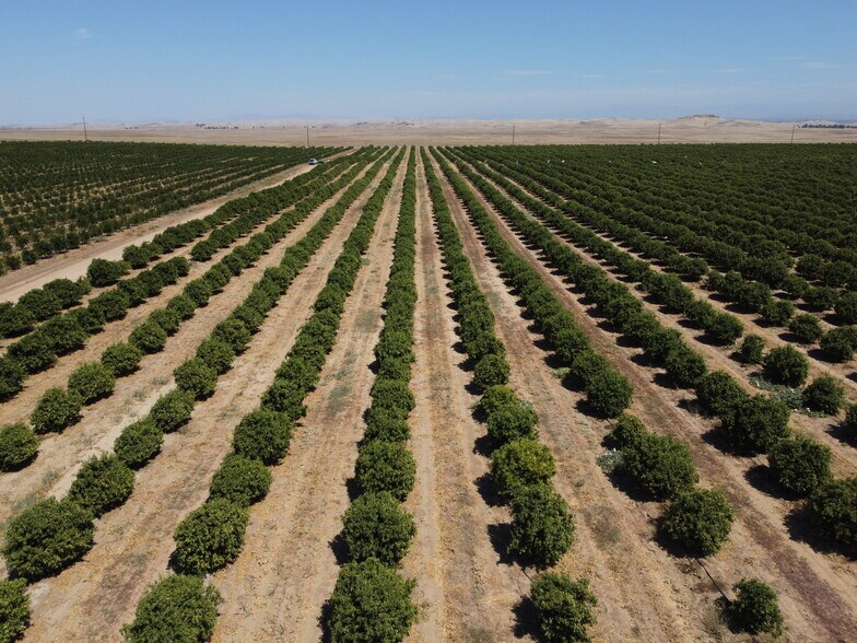 23762 Road 602, Madera, CA for sale - Primary Photo - Image 1 of 8