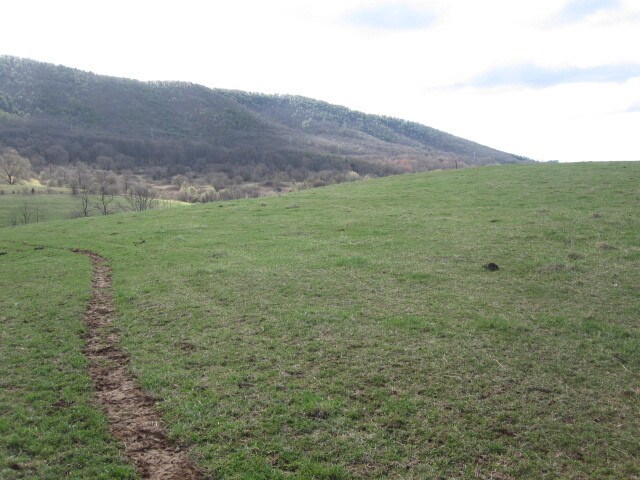 6390 Old Mountain Rd, Roanoke, VA à vendre - Autre - Image 2 de 7