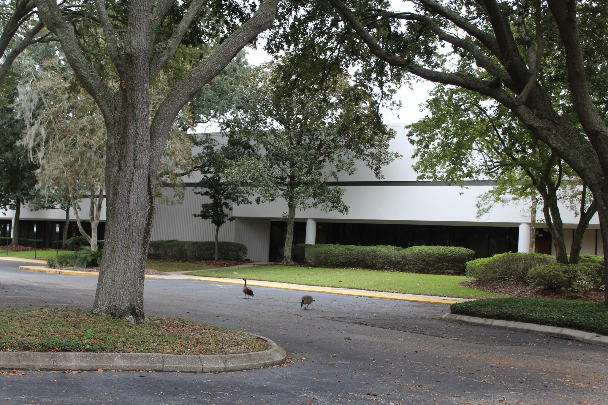 13910 Alvarez Rd, Jacksonville, FL for lease Primary Photo- Image 1 of 5