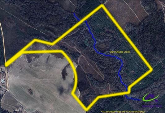 191 Acres Bethel Church Road, Eastman, GA for sale - Aerial - Image 2 of 20