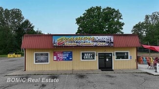 More details for 11850 S Gera Rd, Birch Run, MI - Retail for Sale