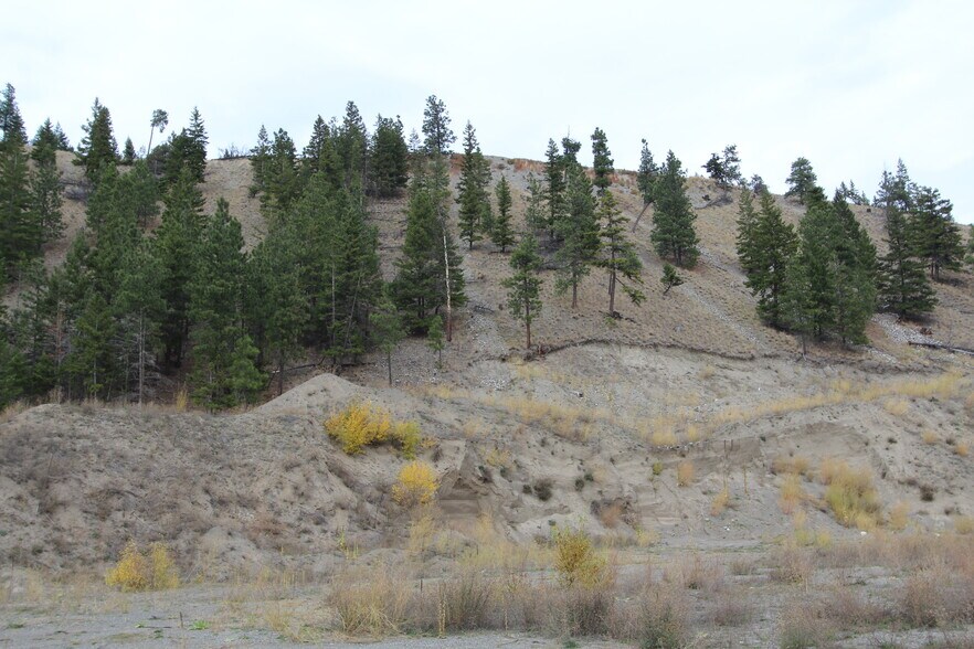 7329 Douglas Lake Rd, Thompson-Nicola, BC for sale - Primary Photo - Image 1 of 4