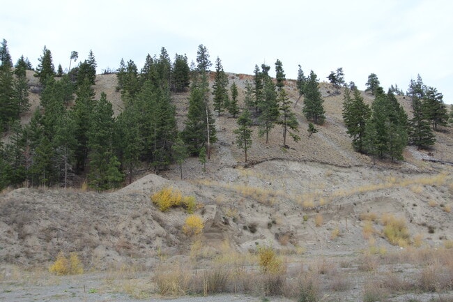 More details for 7329 Douglas Lake Rd, Thompson-Nicola, BC - Land for Sale