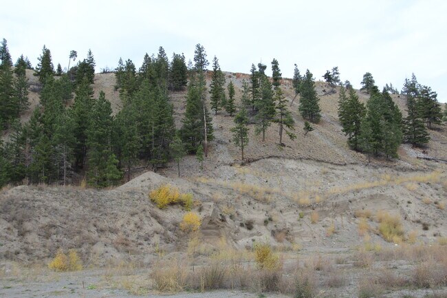 Plus de détails pour 7329 Douglas Lake Rd, Thompson-Nicola, BC - Terrain à vendre