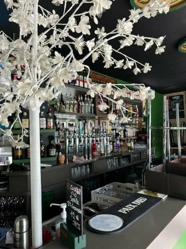 Retail in Reims for lease Interior Photo- Image 1 of 3