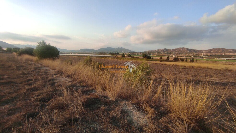 Partida Alcana, Aspe Pedanias, 49, Elche, Alicante à vendre - Aérien - Image 3 de 5