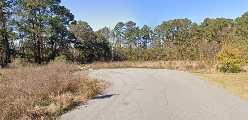 50 Wise Ct, Richmond Hill, GA for sale - Primary Photo - Image 2 of 4