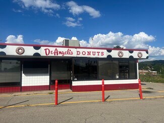 Plus de détails pour 202 Rhode Island Ave, Rochester, PA - Commerce de détail à vendre