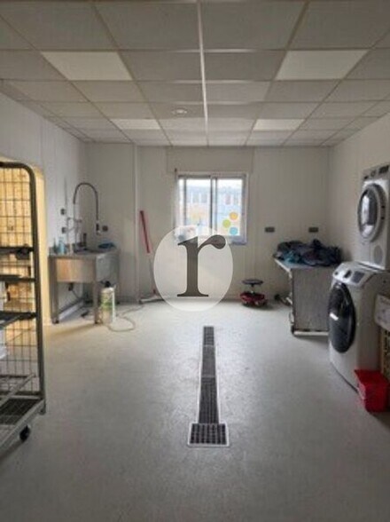 Flex in Lezennes for lease - Interior Photo - Image 2 of 3