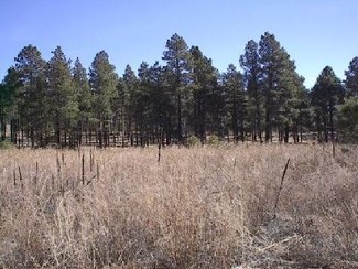 More details for 2700 N Fort Valley Rd, Flagstaff, AZ - Land for Sale