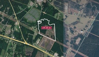 More details for 0 Old 87 Hwy, Riegelwood, NC - Land for Sale