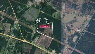 Plus de détails pour 0 Old 87 Hwy, Riegelwood, NC - Terrain à vendre