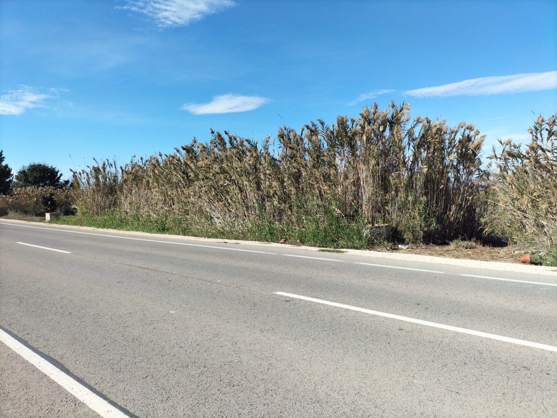 Land in Elche for sale Building Photo- Image 1 of 8