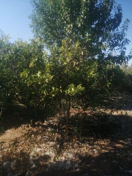 Frente Carrefour, Castellon, Castelló de la Plana, Castellón à vendre - Photo du bâtiment - Image 2 de 3