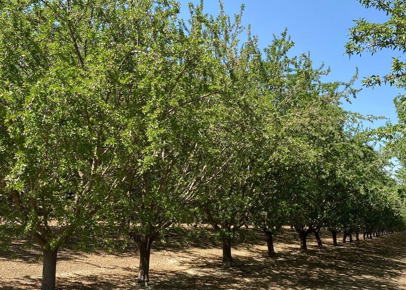 Oakland, Five Points, CA à vendre - Photo principale - Image 1 de 35