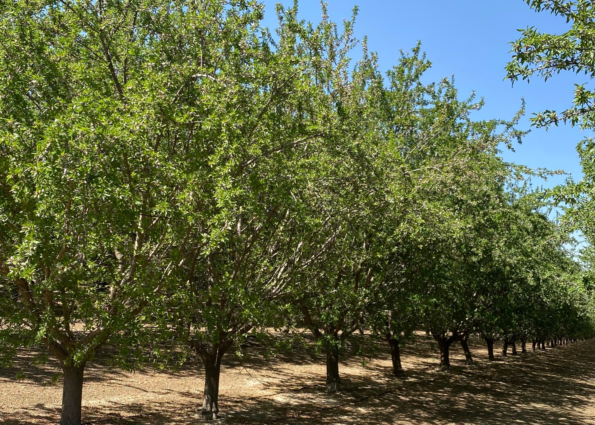 Oakland, Five Points, CA à vendre Photo principale- Image 1 de 36