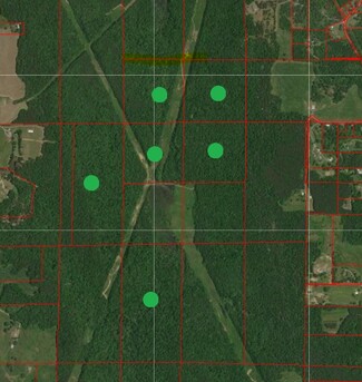 Plus de détails pour Snow Point rd, Union Grove, AL - Terrain à vendre