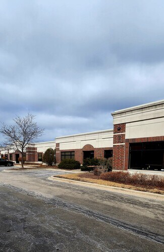 Plus de détails pour 215 Remington Blvd, Bolingbrook, IL - Bureau à louer