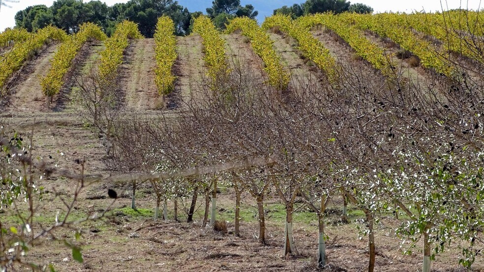 Pocido, La Font de la Figuera, Valencia à vendre - Photo du bâtiment - Image 3 de 21