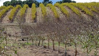 More details for Pocido, La Font de la Figuera - Land for Sale