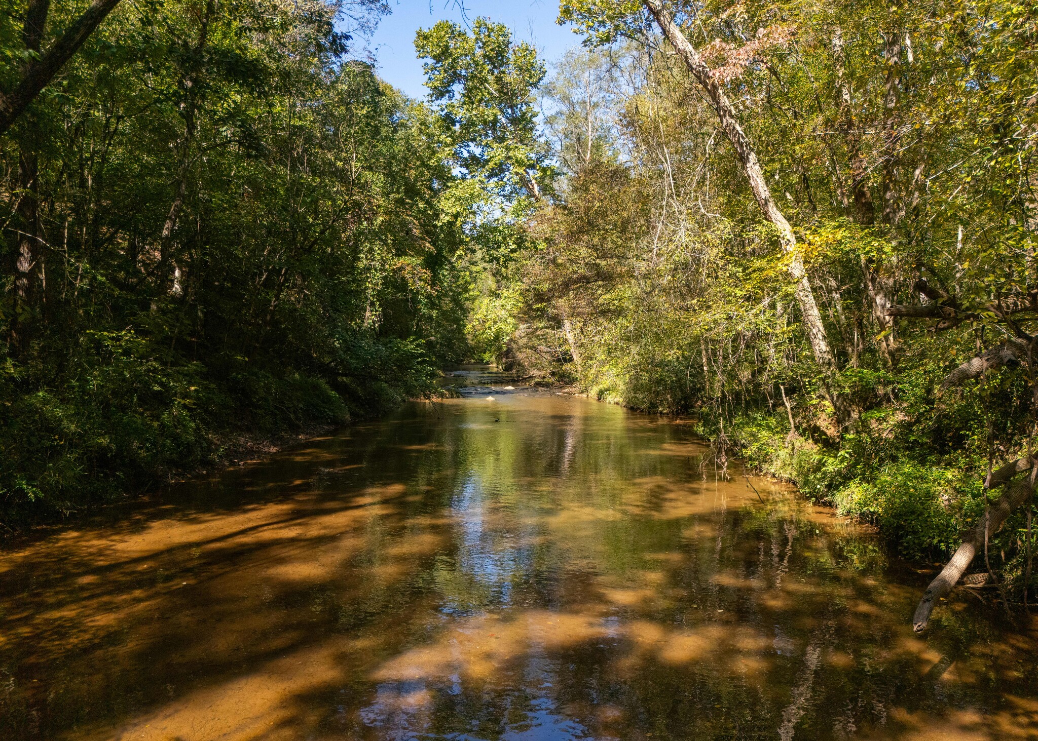 501 Caldwell Rd, Blacksburg, SC for sale Primary Photo- Image 1 of 16