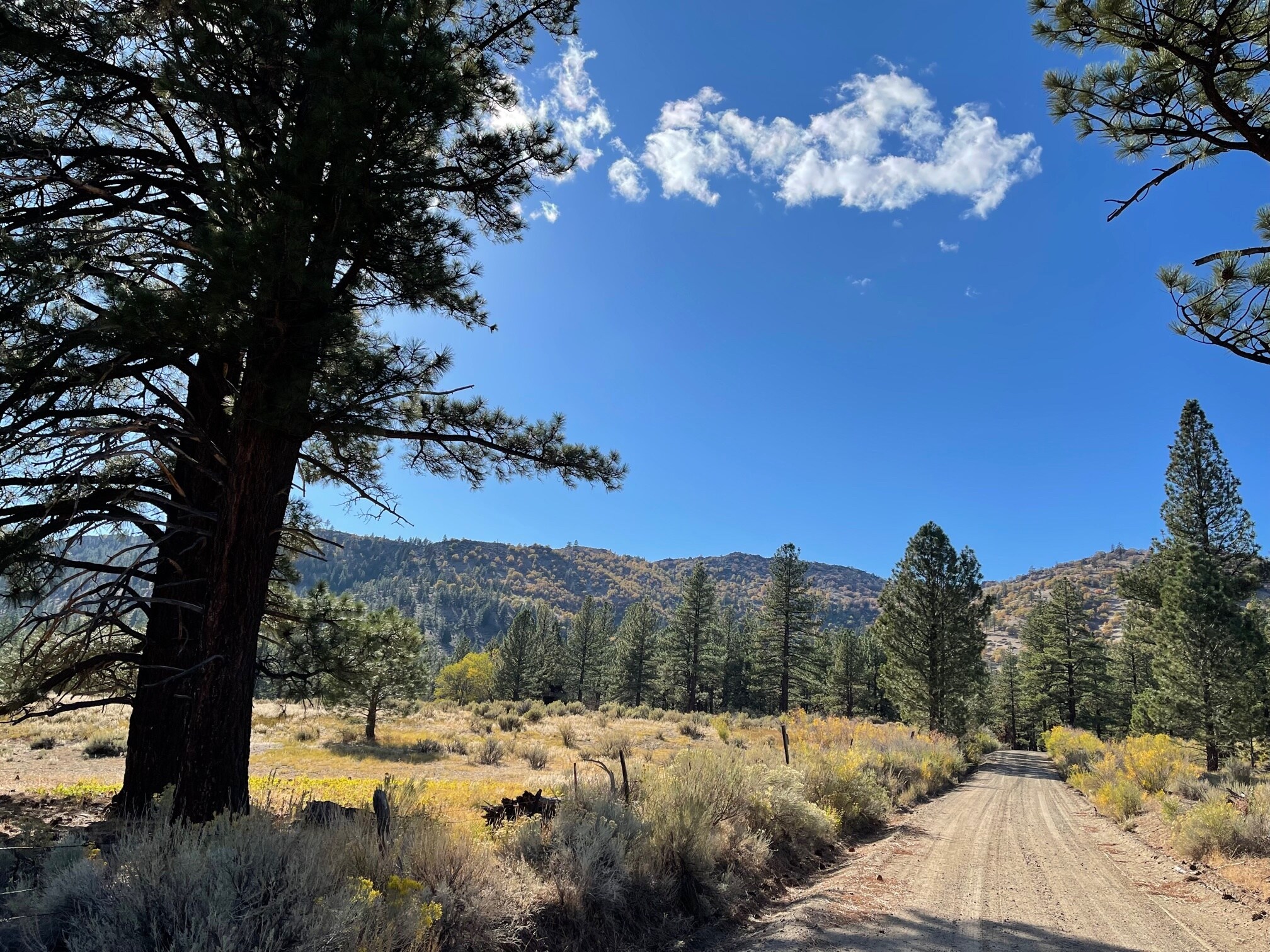 415-025 Scott Rd, Doyle, CA à vendre Photo principale- Image 1 de 26