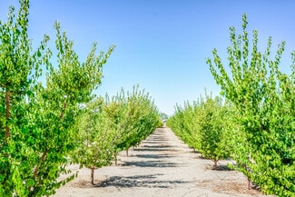 More details for 13830 Paramount Rd, Phelan, CA - Land for Sale