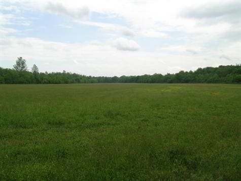 2061-2173 Mulberry Rd, Harrisburg, NC for sale - Other - Image 3 of 6