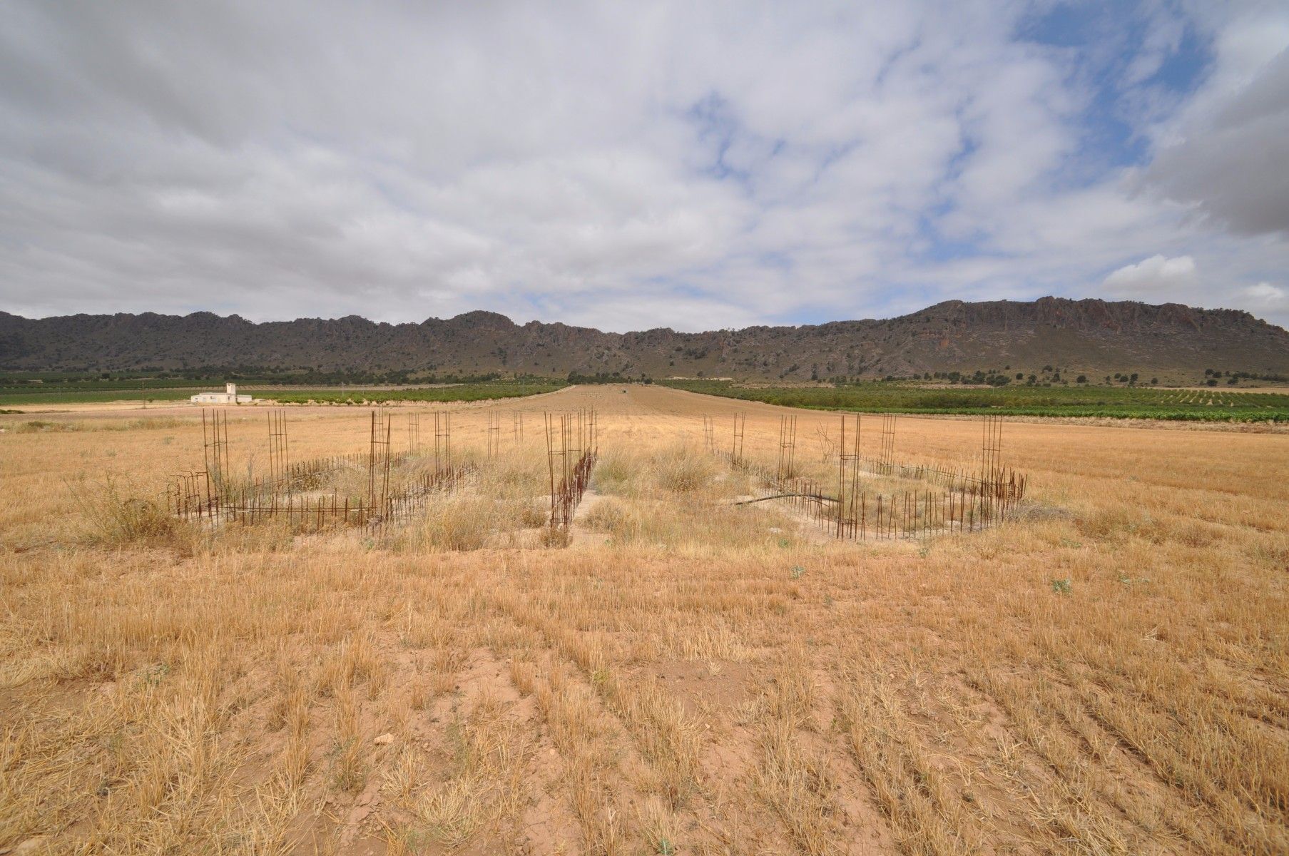 Land in Yecla, Murcia for sale Construction Photo- Image 1 of 15