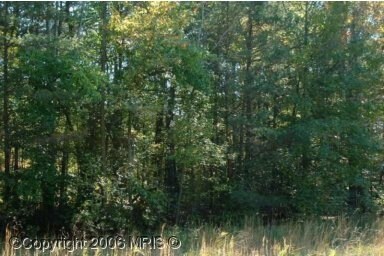 7910 Colonial Ln, Clinton, MD à vendre - Photo du bâtiment - Image 2 de 2