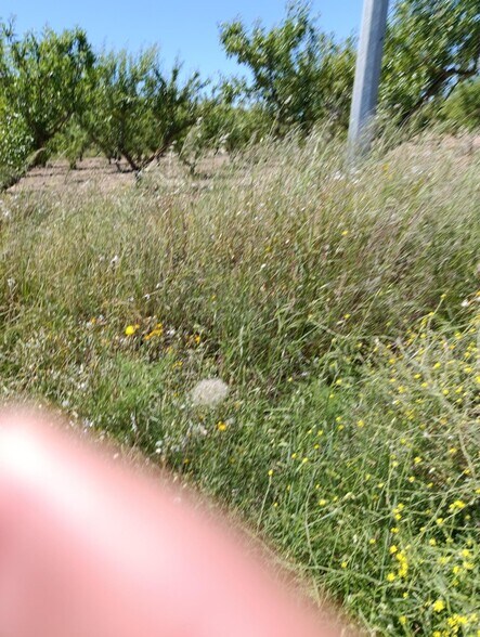 Land in Cehegín, Murcia for sale - Building Photo - Image 1 of 5