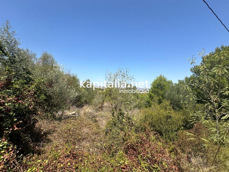 Land in Alberic, Valencia for sale - Primary Photo - Image 2 of 4