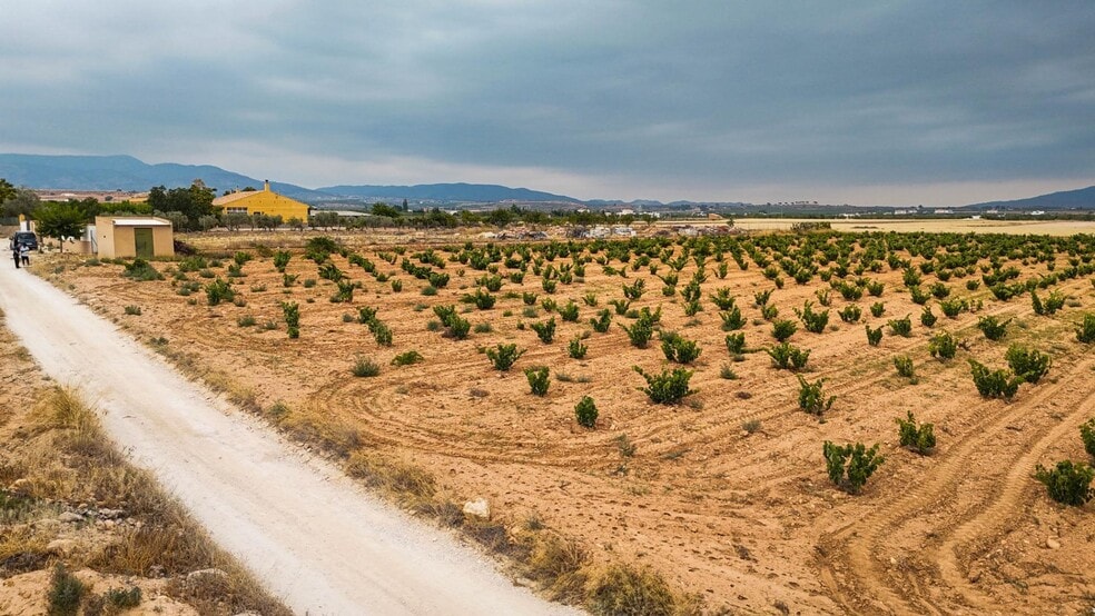 Paratge, 127, PINOSO, Alicante for sale - Aerial - Image 3 of 10
