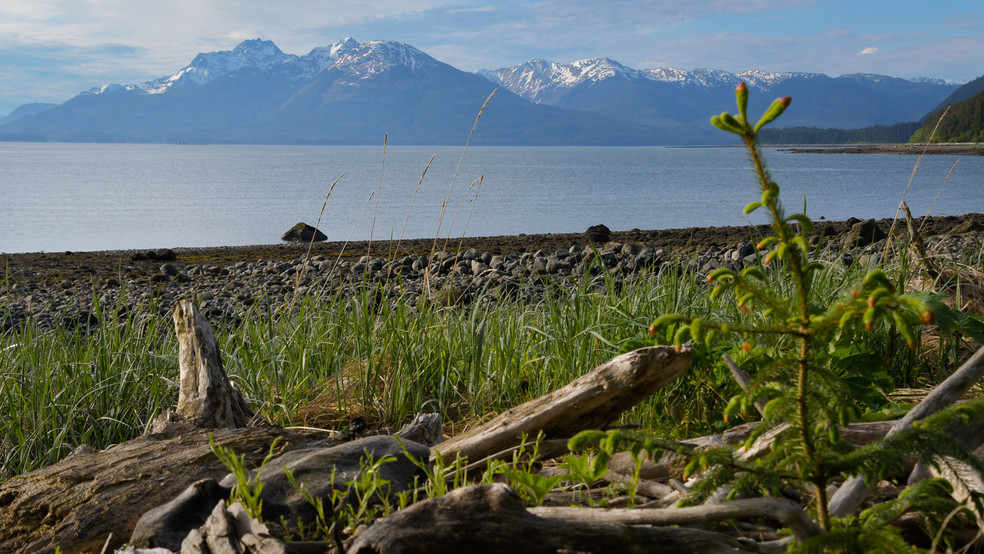 000 Colt Is, Juneau, AK for sale - Primary Photo - Image 2 of 16